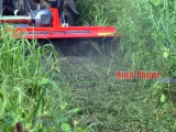 SẢN XUẤT NÔNG NGHIỆP XANH