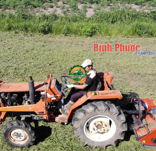  MÁY CẮT CỎ DAO BĂM VNR 1000