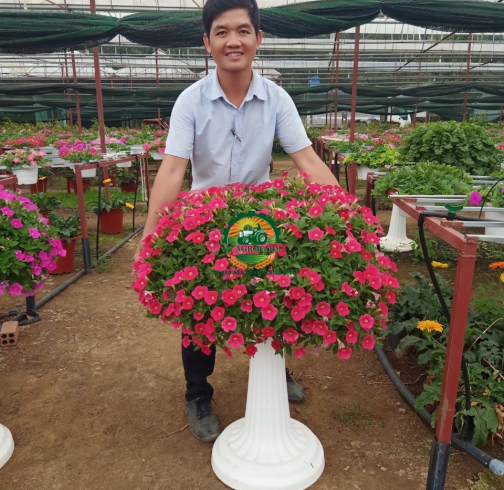  DẠ YẾN THẢO 