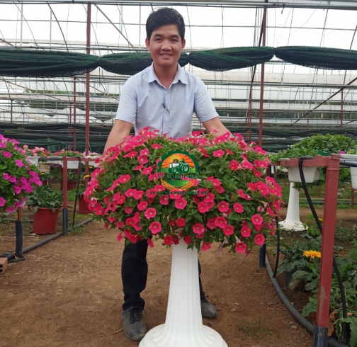  DẠ YẾN THẢO 